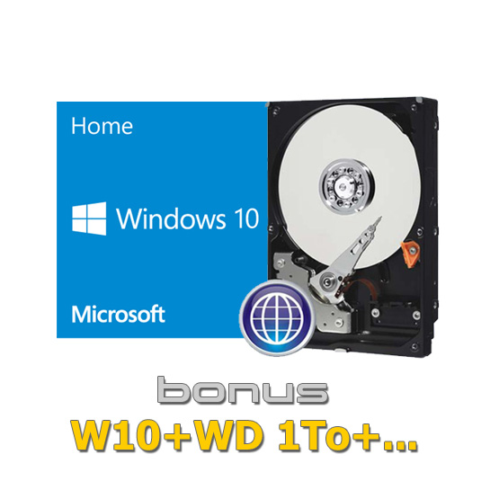MS-W10 + WD Hard-Disk